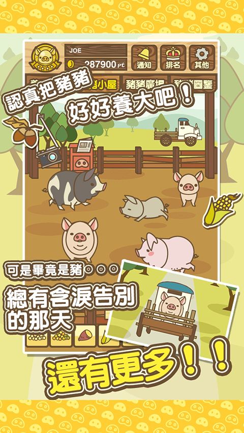 养猪场mix最新版手机赚钱软件截图4