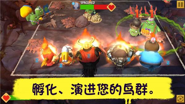 愤怒的小鸟进化手游手机赚钱软件截图4