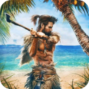 幸存者冒险生存岛中文版(Survivor Adventure)手机赚钱软件