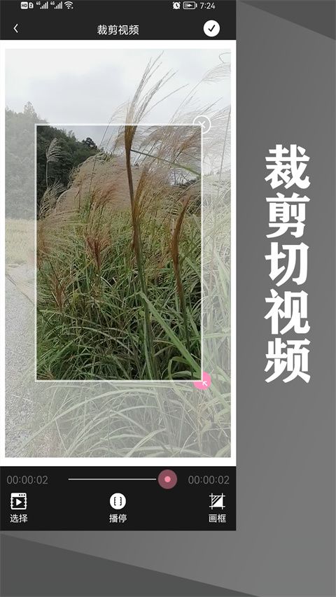 水印王App手机赚钱软件截图3