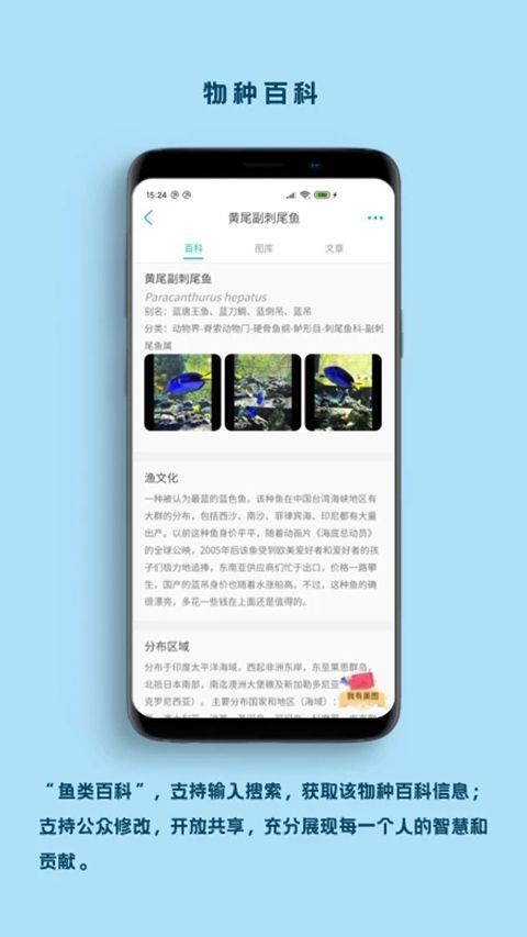 看鱼App手机赚钱软件截图2
