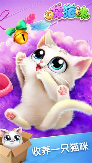 口袋猫咪手游手机赚钱软件截图4