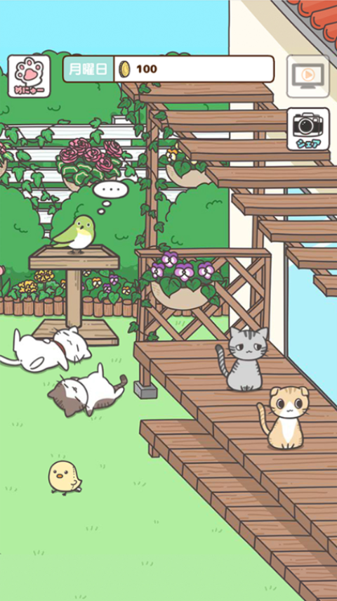 猫咪饲养日常官方版手机赚钱软件截图4