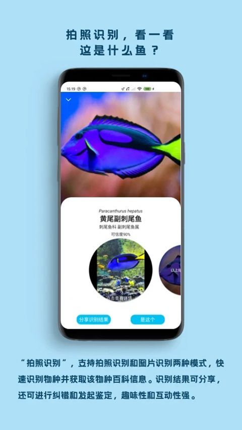 看鱼App手机赚钱软件截图1