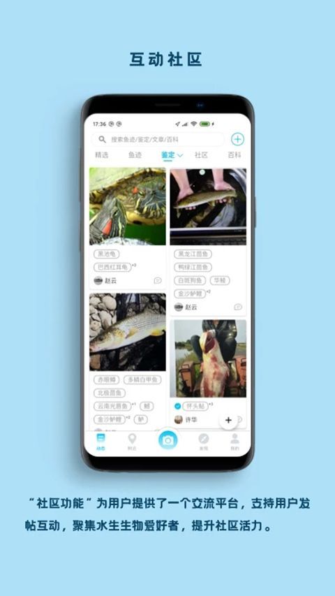 看鱼App手机赚钱软件截图3