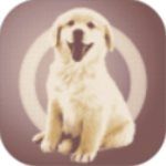 人狗交流器app手机赚钱软件