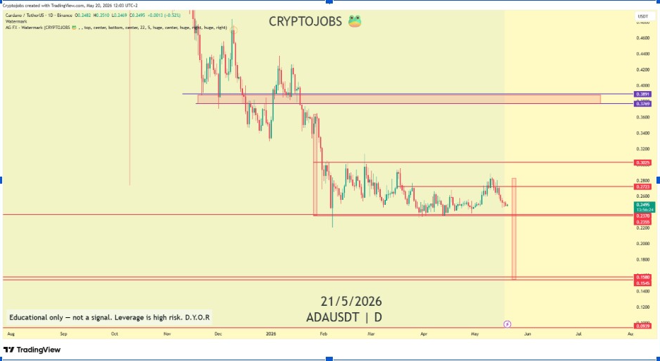 ADAUSDT 日線圖 | 來源:Crypto Jobs, X
