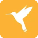 小黄鸟App(Reqable)手机赚钱软件