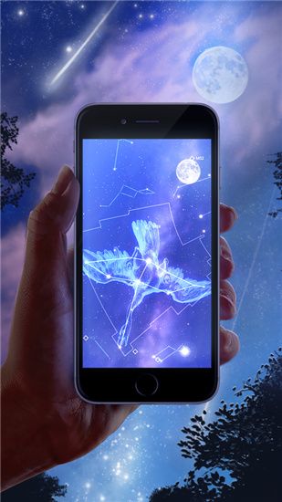 星图ios版手机赚钱软件截图1