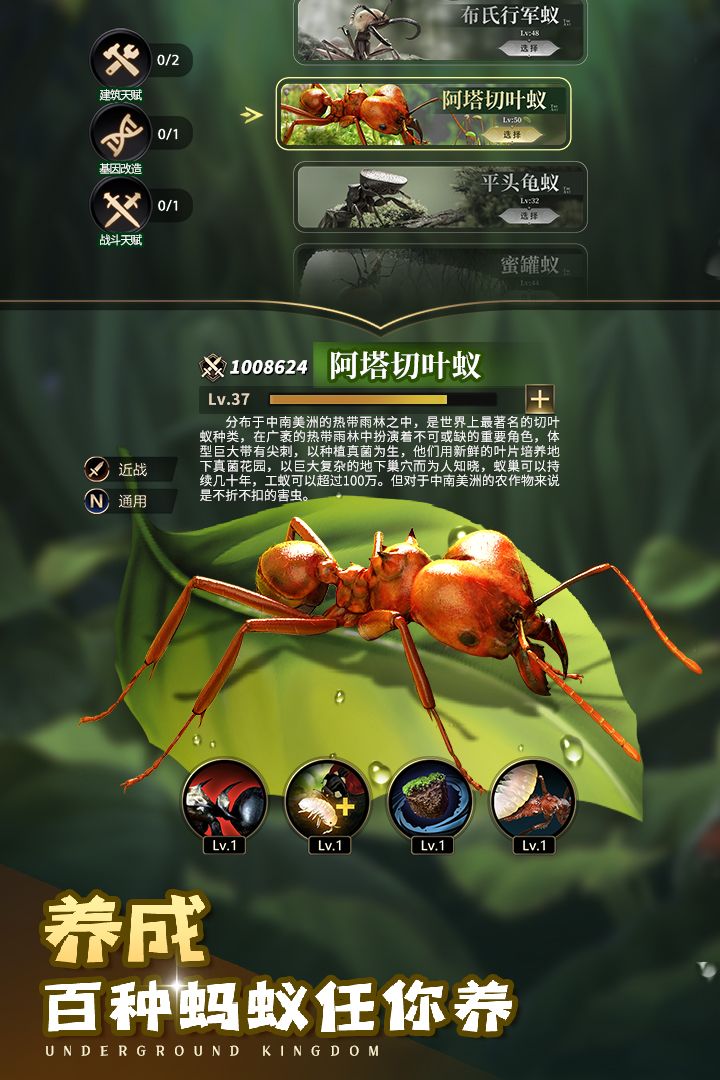 小小蚁国台服手机赚钱软件截图1