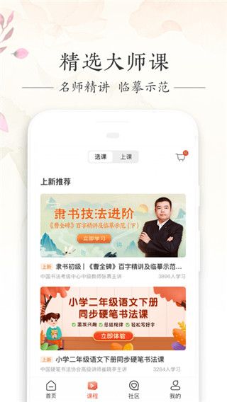写字先生app手机赚钱软件截图1