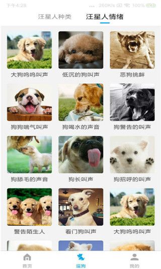 动物翻译器app手机赚钱软件截图4