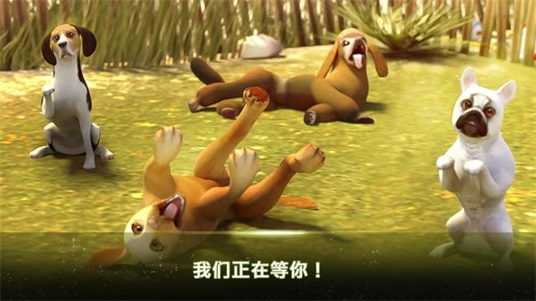 我的寄宿狗屋游戏(DogHotel)手机赚钱软件截图3