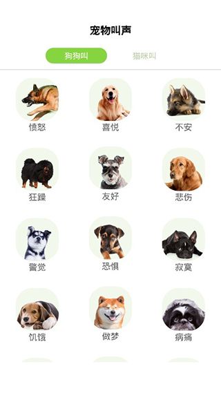狗语翻译器手机版手机赚钱软件截图3