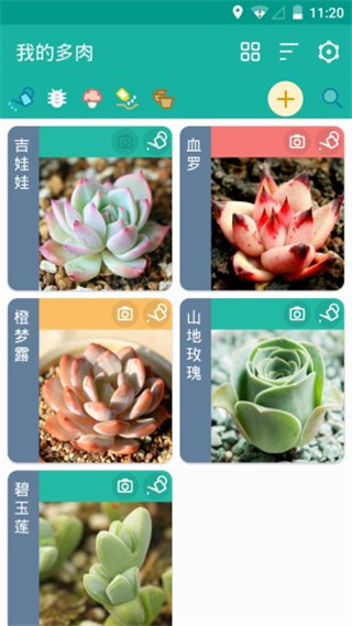 多肉成长记app手机赚钱软件截图1