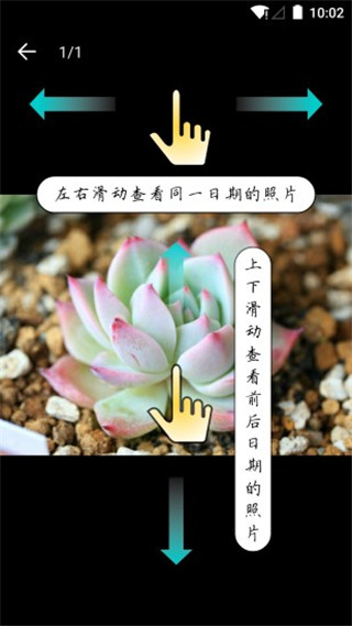 多肉成长记app手机赚钱软件截图4
