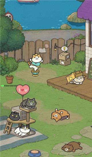 神秘猫咪字典手游手机赚钱软件截图3