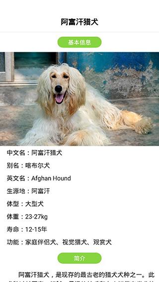 狗语翻译器手机版手机赚钱软件截图4