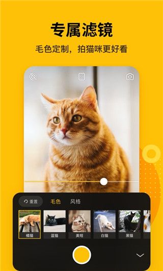 爪叽app手机赚钱软件截图4