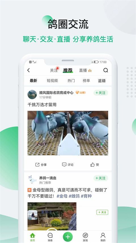 中国信鸽信息网app手机赚钱软件截图2