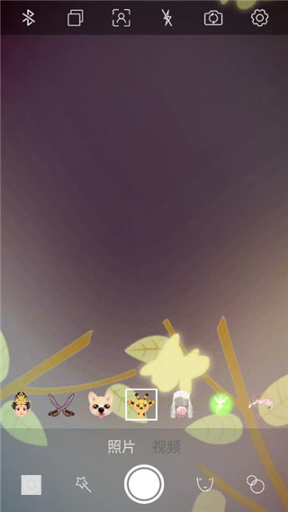 趣追拍app手机赚钱软件截图4