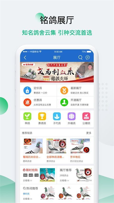 中国信鸽信息网app手机赚钱软件截图3