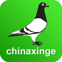 中国信鸽信息网app手机赚钱软件