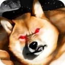 肌肉柴犬正版手机赚钱软件