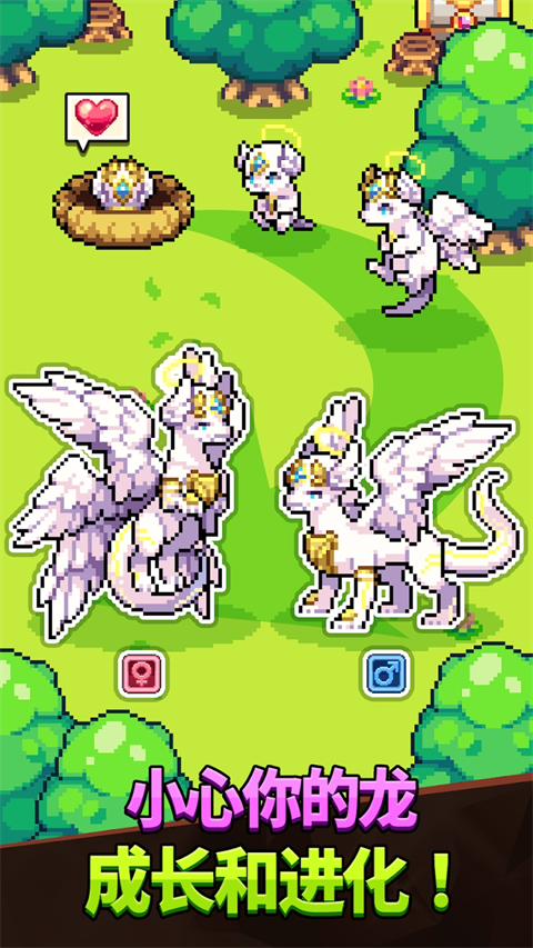 Dragon Village Collection官方最新版手机赚钱软件截图3