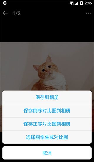猫咪成长记app红包版手机赚钱软件截图3