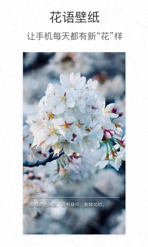 形色识花App手机赚钱软件截图4