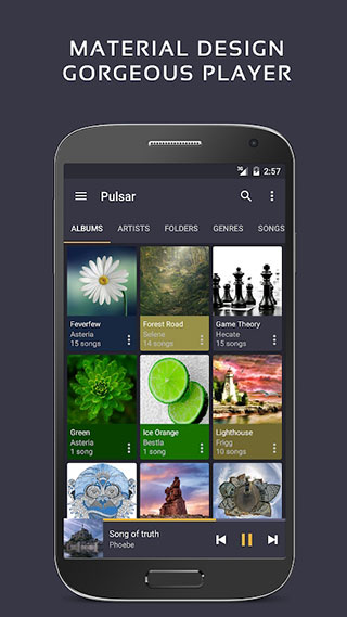 pulsar播放器专业版手机赚钱软件截图4