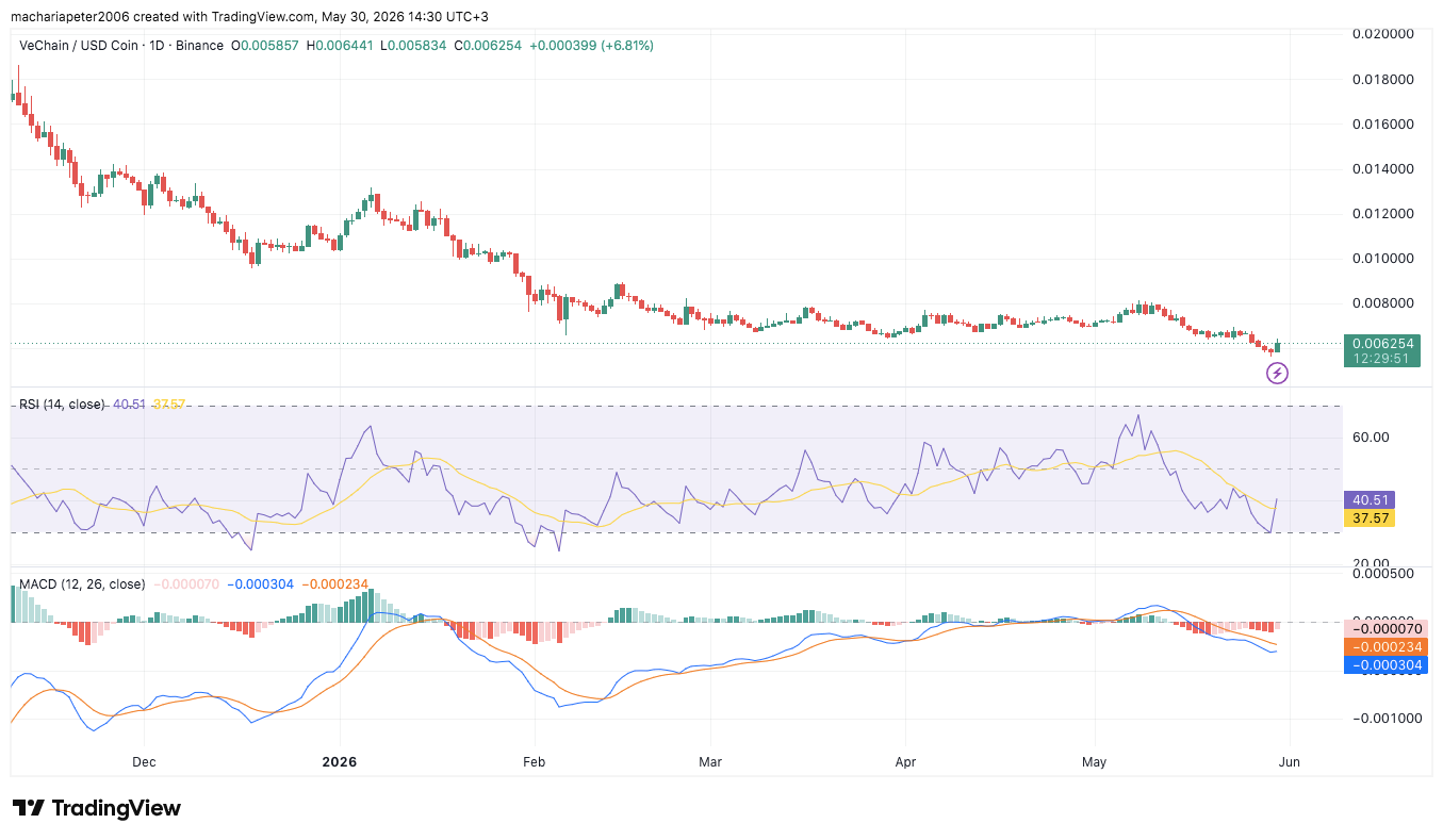 VeChain 執行長表示，區塊鏈有望推動 AI 代理經濟