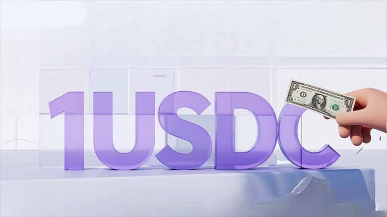 USDC是在哪个区块链上发行的?